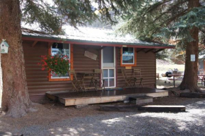 The Bluebonnet Cabin with Mountain Views, Lake City
